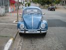 vw-bug2.jpg
