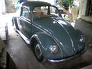 65 bug.jpg